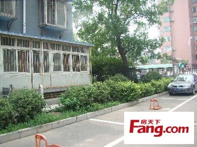 新文化街小區